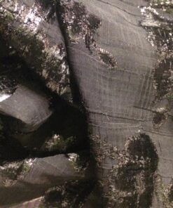 Pleated Devoree Lace Fabric by John Kaldor